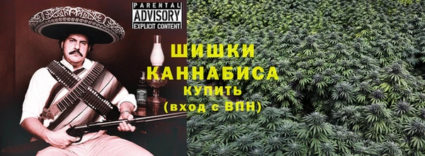 PSILOCYBIN Бородино
