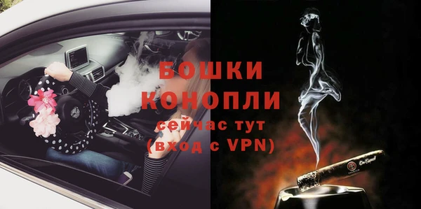 мдпв Богданович