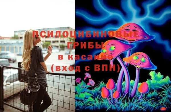 ECSTASY Богородск