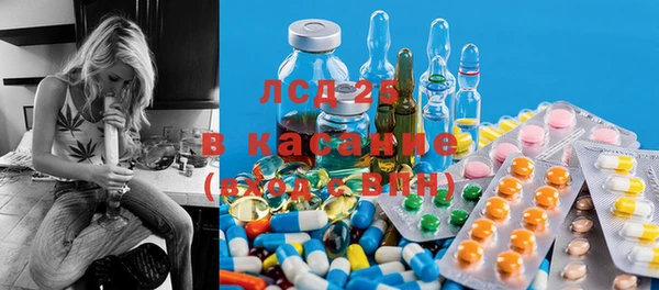 PSILOCYBIN Бородино
