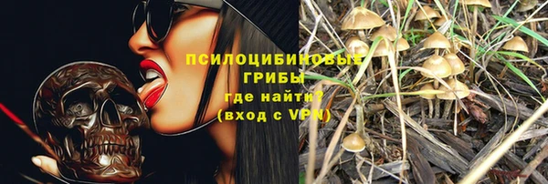 мдпв Богданович
