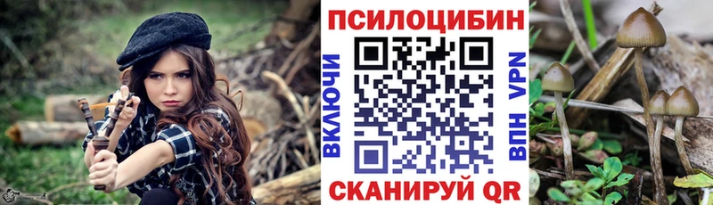 Галлюциногенные грибы GOLDEN TEACHER  где можно купить   Мезень 